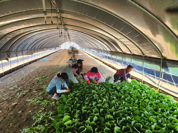 2024년 폭염대비 농가방문 대표 이미지