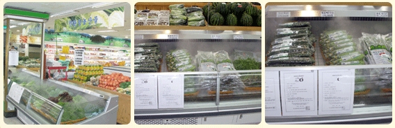 친환경농산물코너